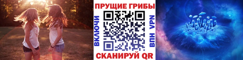 Галлюциногенные грибы Cubensis Щёлково