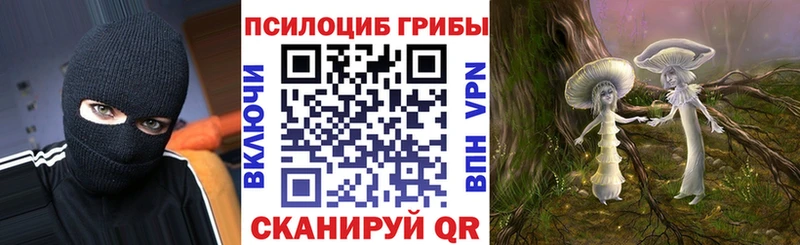 как найти   Щёлково  Псилоцибиновые грибы MAGIC MUSHROOMS 